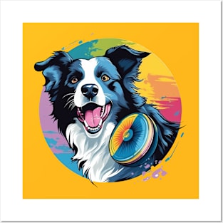 border collie playing with a frisbee Posters and Art